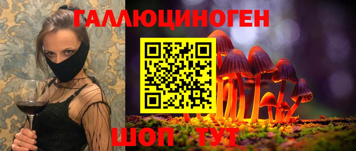 Псилоцибиновые грибы Magic Shrooms  как найти закладки  Вход с VPN  Приморско-Ахтарск  Псилоцибиновые грибы мицелий 