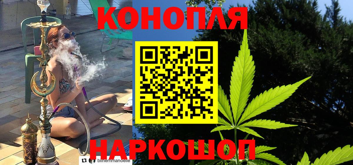 Приморско-Ахтарск  Конопля OG Kush  Вход с VPN  Конопля марихуана  Каннабис план 